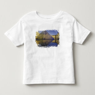 Camiseta De Bebé FRANCIA, Reflexión de París, Pirámide. El Louvre