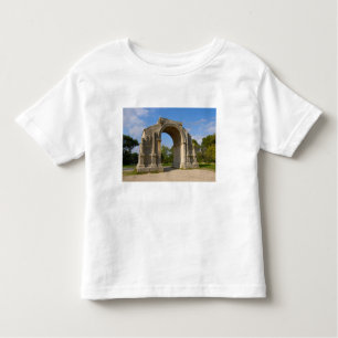 Camiseta De Bebé Francia, St. Remy de Provence, Arco de Triunfo