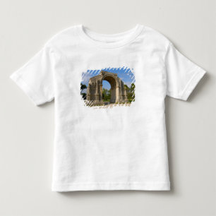 Camiseta De Bebé Francia, St. Remy de Provenza, Arco de Triunfo