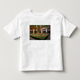 Camiseta De Bebé Francia, St. Remy de Provenza, claustros a las 2
