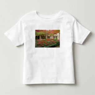 Camiseta De Bebé Francia, St. Remy de Provenza, claustros a las 3