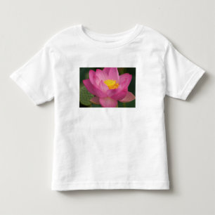 Camiseta De Bebé Franklin NC, jardín de agua de Perry, Loto 2