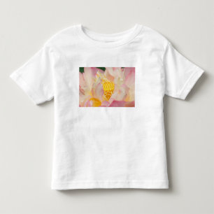Camiseta De Bebé Franklin NC, jardín de agua de Perry, Loto con