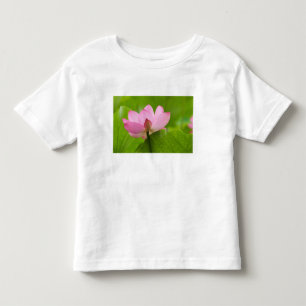 Camiseta De Bebé Franklin NC, Jardín de Agua de Perry, Lotus