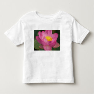 Camiseta De Bebé Franklin NC, Perry's Water Garden, Lotus 2