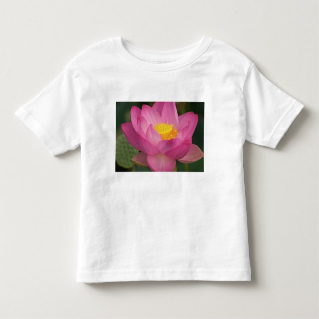 Camiseta De Bebé Franklin NC, Perry's Water Garden, Lotus 2 (Anverso)