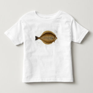 Camiseta De Bebé Frote (la placa XLVI del Limanda del Pleuronectes)