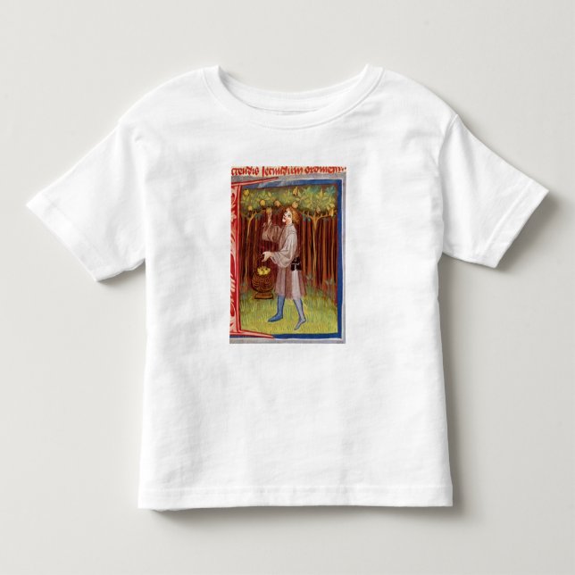 Camiseta De Bebé Fruta de la cosecha (Anverso)