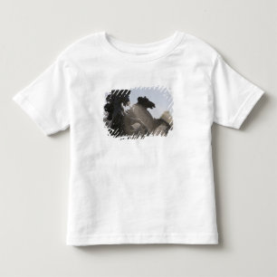 Camiseta De Bebé Fuente, Monumento a los Girondinos, Burdeos,