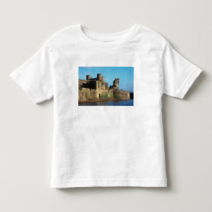 Camiseta De Bebé Gales - castillo de Caerphilly, con una vista de l