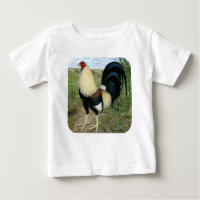 Gallo de pelea de la carretera nacional