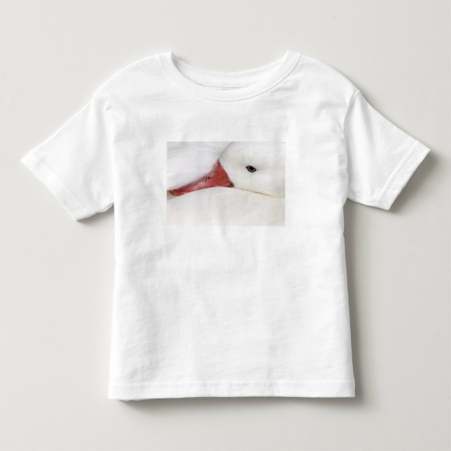 Camiseta De Bebé Ganso de las nieves Chen caerulescens (Anverso)