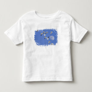 Camiseta De Bebé Gansos de nieve despegan el vuelo en Freezeout Lak