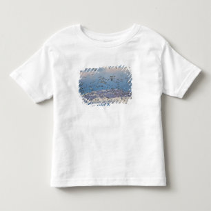 Camiseta De Bebé Gansos de nieve durante la migración de primavera