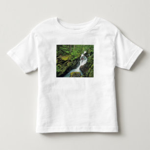 Camiseta De Bebé Garganta de Avalanche en el Parque Nacional del Gl
