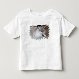 Camiseta De Bebé Gata Ragdoll hembra