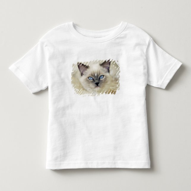 Camiseta De Bebé gatito ragdoll (Anverso)