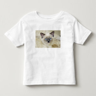 Camiseta De Bebé Gatito ragdoll