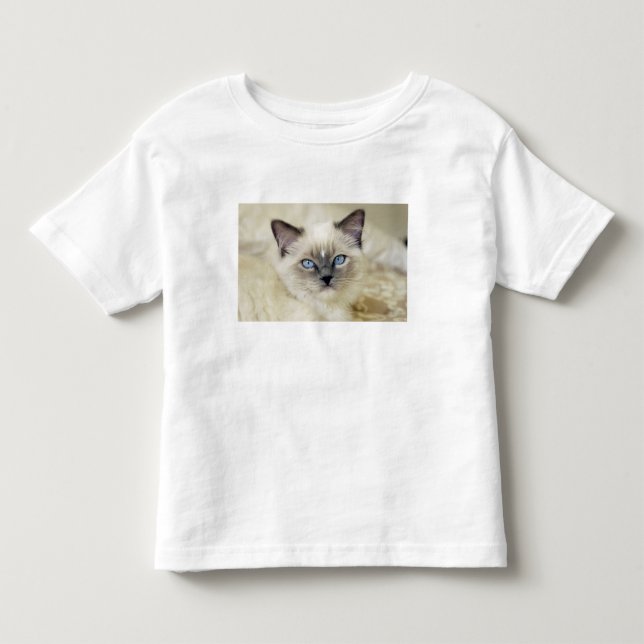 Camiseta De Bebé Gatito ragdoll (Anverso)