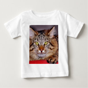 Camiseta De Bebé Gato de Maine-Coone