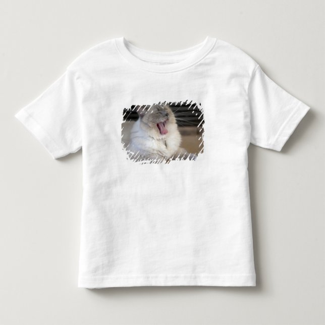 Camiseta De Bebé gato Neva Masquerade bostezando (Anverso)