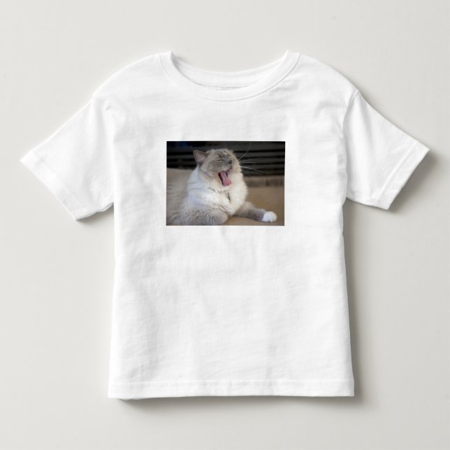 Camiseta De Bebé gato Neva Masquerade bostezando (Anverso)