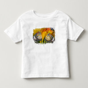 Camiseta De Bebé Gemelas Mariposas Tropicales