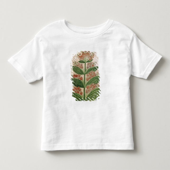 Camiseta De Bebé Genciana con las flores imaginarias (Anverso)