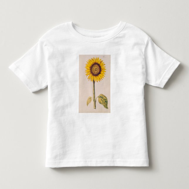 Camiseta De Bebé Girasol o Helianthus (Anverso)