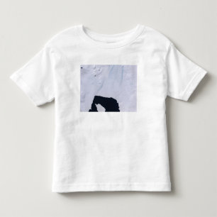 Camiseta De Bebé Glaciar de la isla del pino