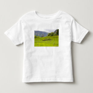 Camiseta De Bebé Glendalough, Irlanda. Glendalough es uno de
