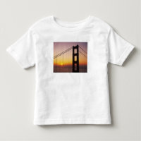 Golden Gate Bridge, San Francisco, California, 3