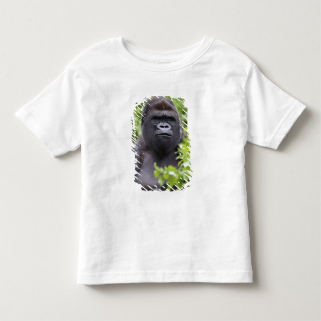 Camiseta De Bebé Gorila de Lowland de Silverback, Gorila de Gorila, (Anverso)