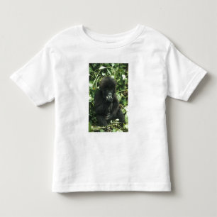 Camiseta De Bebé Gorila de montaña, (Gorilla gorilla beringei),