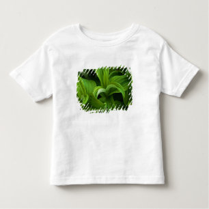 Camiseta De Bebé Gotas de rocío en un Helabore falso