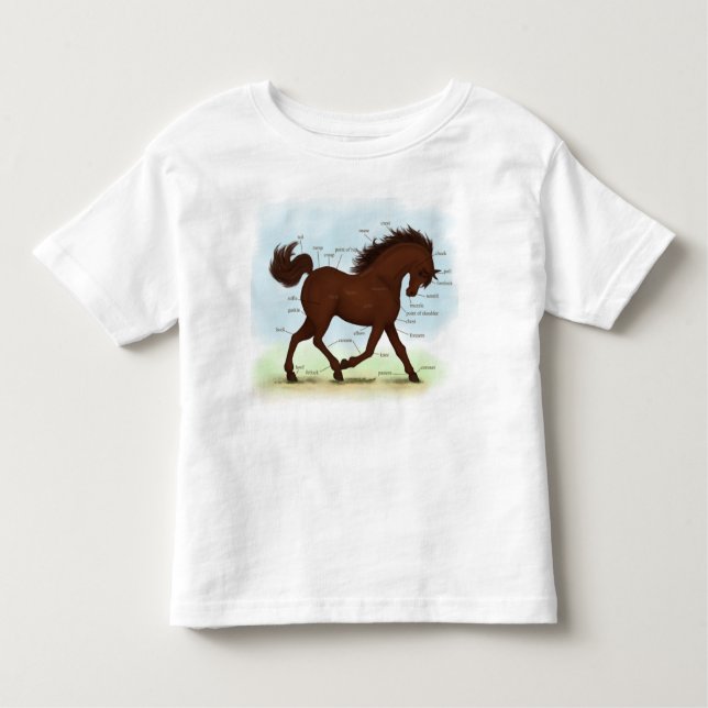 Camiseta De Bebé Gráfica de anatomía equina educativa de caballo ma (Anverso)