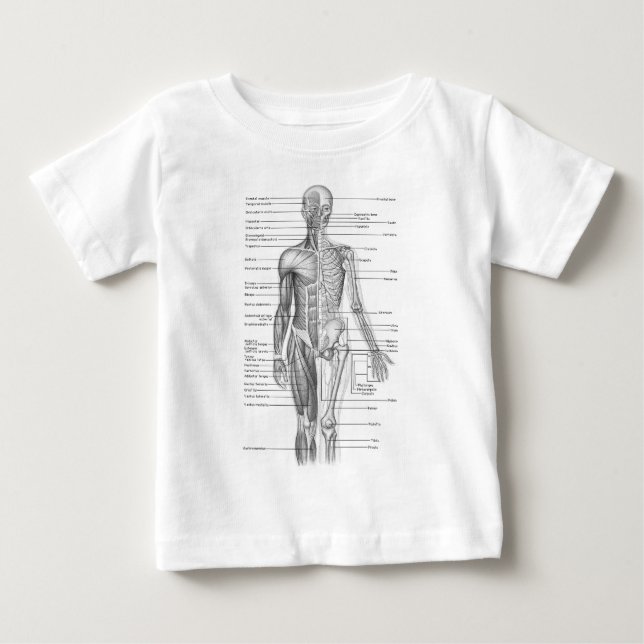 Camiseta De Bebé Gráfico de anatomía humana (Anverso)