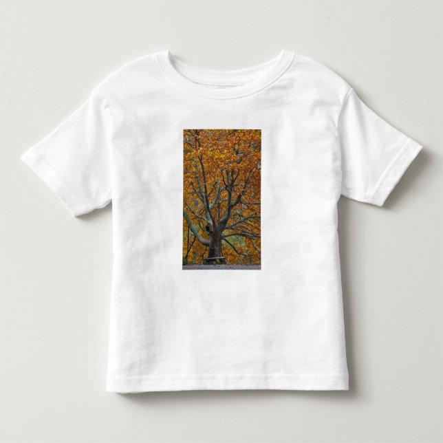 Camiseta De Bebé Gran arce en otoño, Bass Lake, cerca (Anverso)