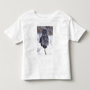 Camiseta De Bebé Gran búho gris cerca de Pine City MN,