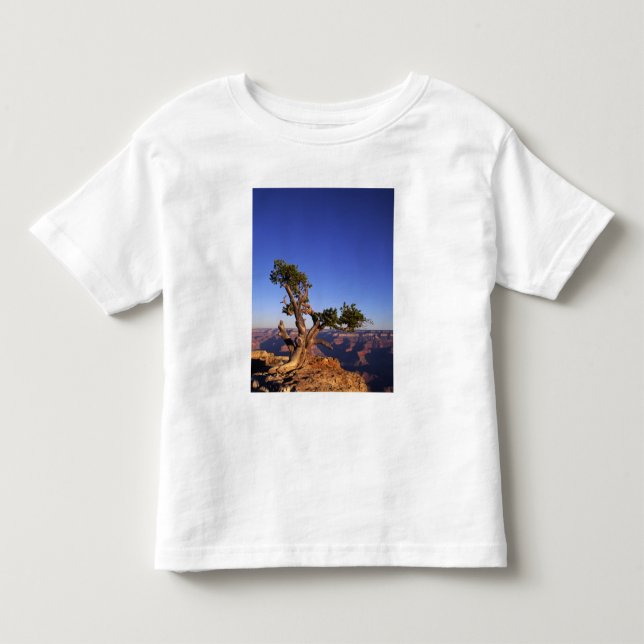 Camiseta De Bebé Gran Cañón, Arizona, EE. UU. (Anverso)