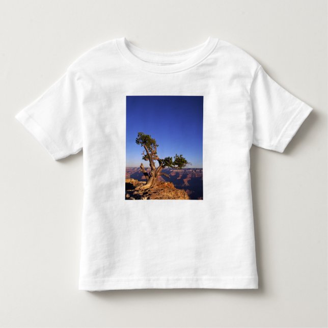 Camiseta De Bebé Gran Cañón, Arizona, Estados Unidos (Anverso)