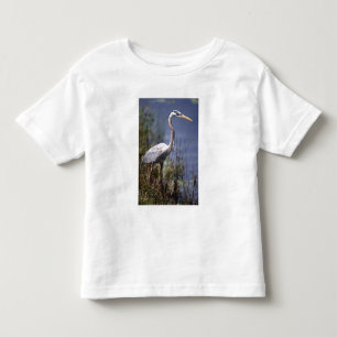Camiseta De Bebé Gran garza azul ave acuática