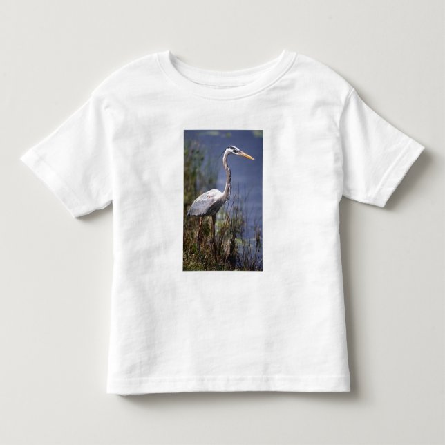 Camiseta De Bebé Gran garza azul ave acuática (Anverso)