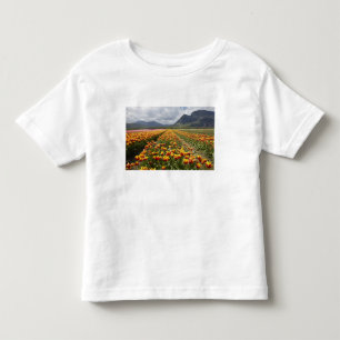 Camiseta De Bebé Granja de tulipanes cerca de Agassiz, Columbia Bri