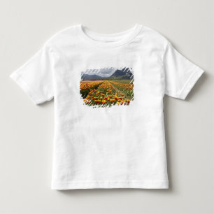 Camiseta De Bebé Granja Tulip cerca de Agassiz, Columbia Británica