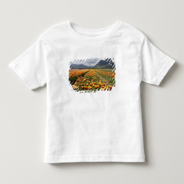 Camiseta De Bebé Granja Tulip cerca de Agassiz, Columbia Británica (Anverso)