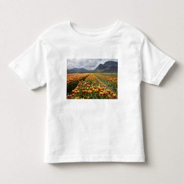 Camiseta De Bebé Granja Tulip cerca de Agassiz, Columbia Británica (Anverso)