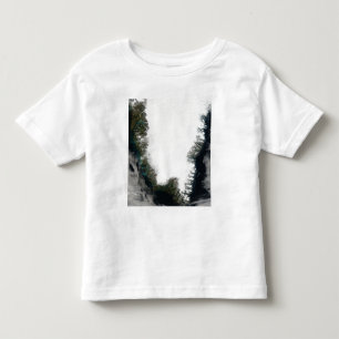 Camiseta De Bebé Groenlandia meridional