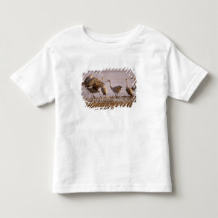 Camiseta De Bebé Grullas Canadiense Grus canadensis) Platte