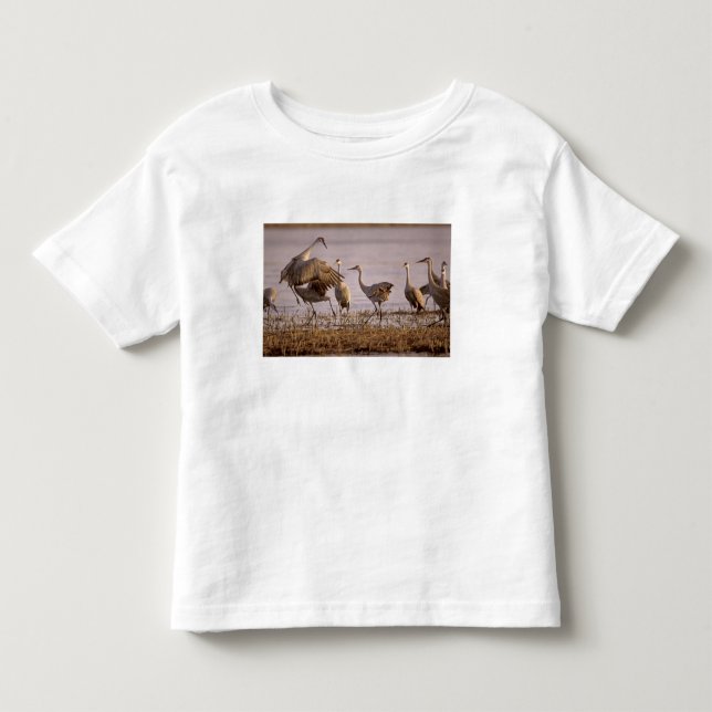 Camiseta De Bebé Grullas Canadiense Grus canadensis) Platte (Anverso)